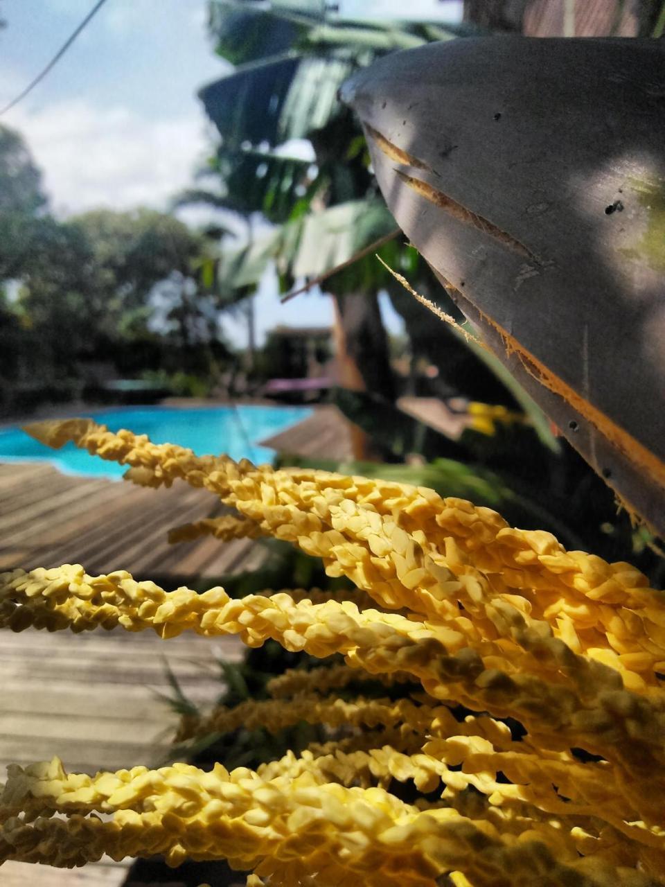 Villa Josefa - Chale Completo Com Piscina E Churrasqueira Praia do Rosa Eksteriør bilde